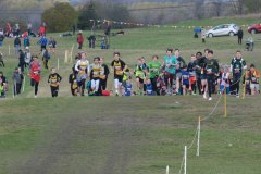 DSCF5941