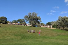 IMG_20190904_175350