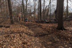 IMG_20191110_121613