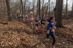 IMG_20191110_121624
