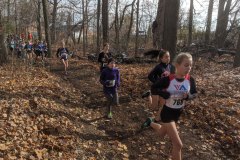 IMG_20191110_121630